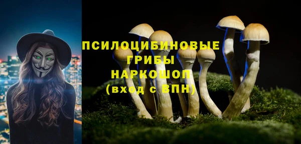 PSILOCYBIN Бугульма