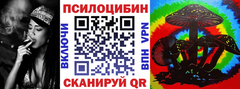 Псилоцибиновые грибы Psilocybine cubensis  Нижнекамск 